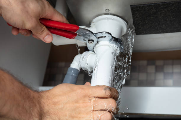 Best Professional water damage repair  in Dickinson, TX