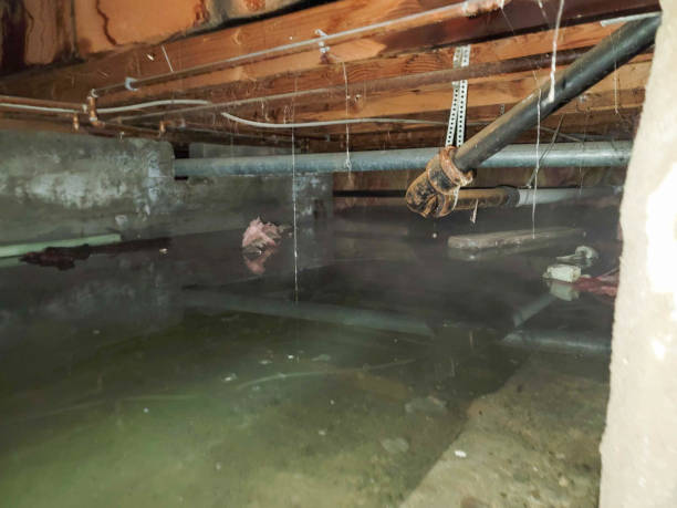 Best Emergency water damage restoration  in Dickinson, TX