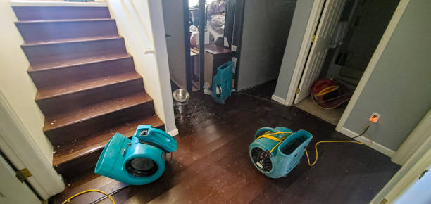 Best Flooded house restoration  in Dickinson, TX