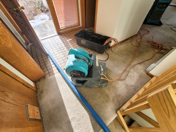 Best Water damage restoration near me  in Dickinson, TX