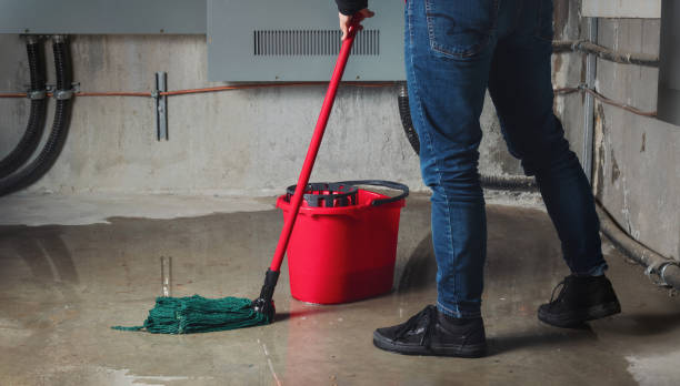 Best Water damage cleanup near me  in Dickinson, TX