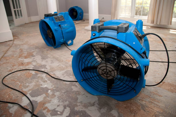 Best Flood damage cleanup  in Dickinson, TX