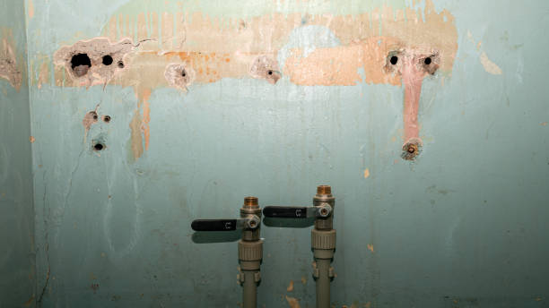 Best Flooded house restoration  in Dickinson, TX