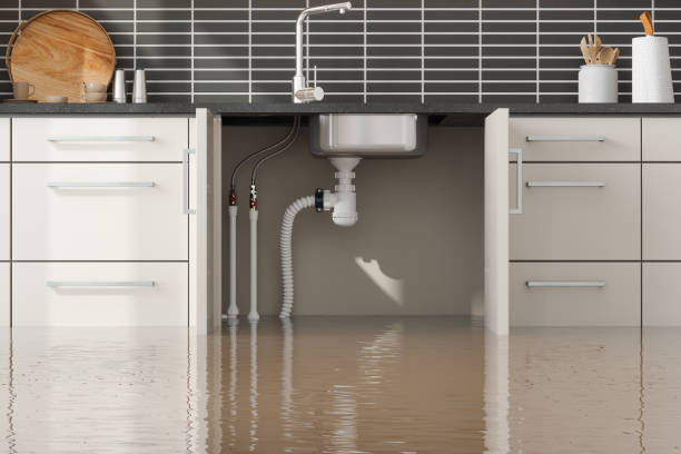 Best Emergency water extraction  in Dickinson, TX