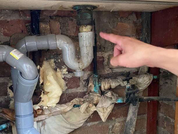 Best Water damage restoration experts  in Dickinson, TX