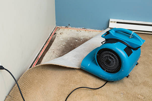 Best Water damage restoration company  in Dickinson, TX